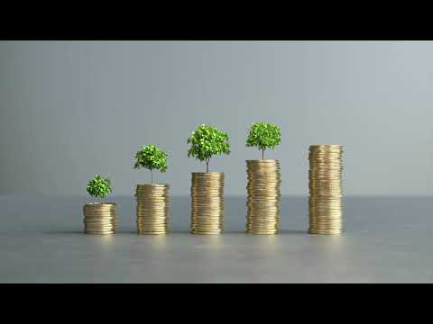 Implement a dividend policy