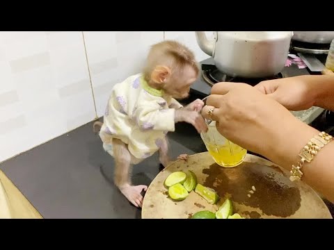 Super Cute Baby DAM Stand Up Watch Mom Making Lemon Juice