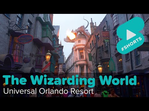 The Wizarding World of Harry Potter – #Shorts