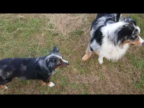 Was sich liebt das neckt sich 😁