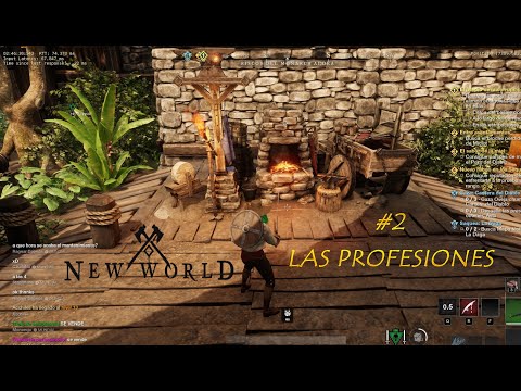 Capitulo #2 PROFESIONES