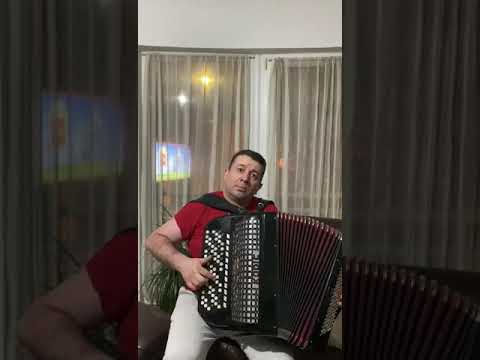 Skola harmonike Bojan Nesic - Zlatni melos kolo