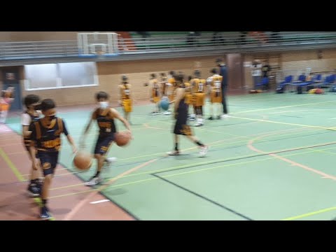 Alevín Masc 1° - Lions Arroyomolinos vs Pinto Basket