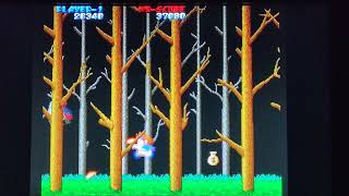 Taito Wardner No Mori ワードナの森 1987 Arcade: Actual Hardware Gameplay