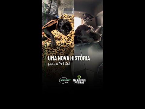 ANTES E DEPOIS DO PINHÃO!