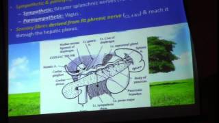 21) Dr.Sherif Zaki 22/3/2015 [biliary system - spleen]