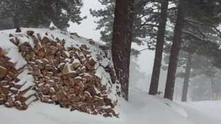 Andrew Bird Don&#39;t Be Scared