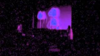 Broadcast - "One Million Years Ago/A Seancing Song" (trish keenan, james cargill, the Focus Group)