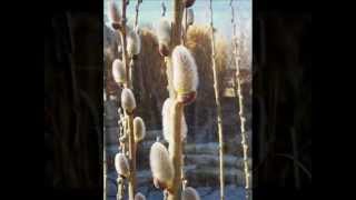 Gordon Lightfoot - Pussywillows Cat-Tails