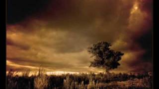 Nevertheless - In Or out