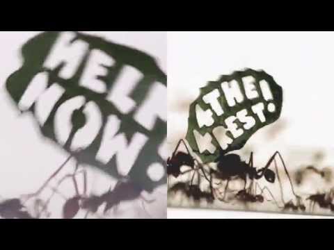 歴史上初めて、虫が立ち上がった日 / WWF「THE ANT RALLY」
