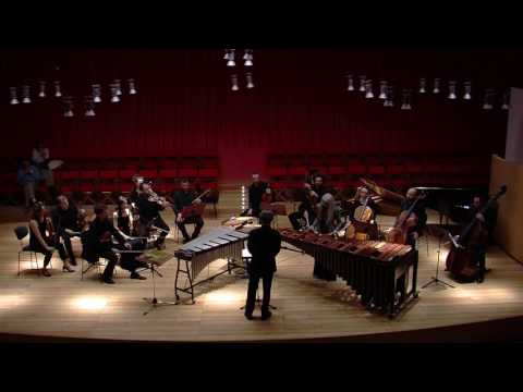 N.Rosauro-Concerto per marimba e orch.- IV- Evelyn Glennie/F.E.Scogna/I Solisti Aquilani