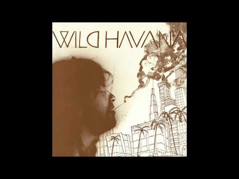 [REISSUE] Wild Havana - Sky - Scraper (Mental Experience)