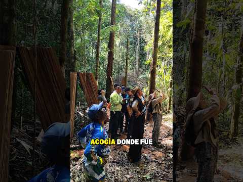 El Campo de Miraflores Guaviare se une a brindar las mejores experiencias a propios y visitantes