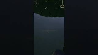 樫内利政 撮影　初めてバスに食われました