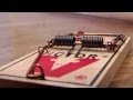 Victor Metal Pedal Rat Trap Instructional Video