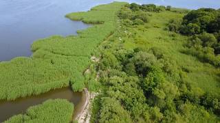 Рыбалка на куршской косе поселок рыбачий