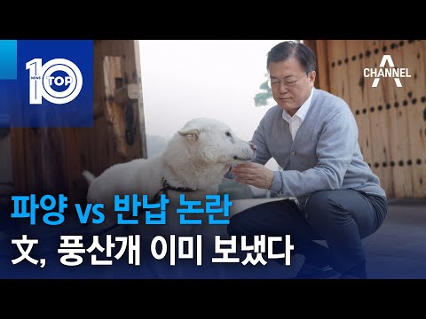 아이콘