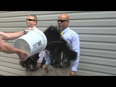 The SECOND Official Ultra-Ever Dry Video - Superhydrophobic coating - Repels almost any liquid! Video