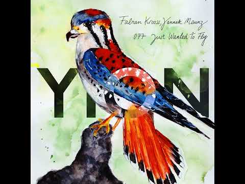 Premiere: Fabian Krooss & Yannek Maunz - Just Wanted To Fly [Yion]