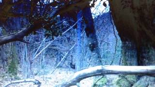 "L'altra faccia dell'amore". Arrivano i Requie, notte live per Arezzo