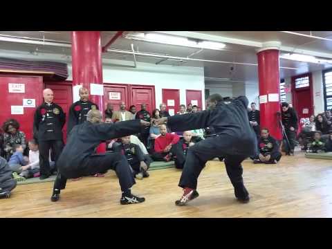 Kung Fu - Demonstration of two animal styles in Kung Fu - Tiger vs Leopard