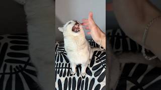 Download lagu Can’t Touch This! mp3