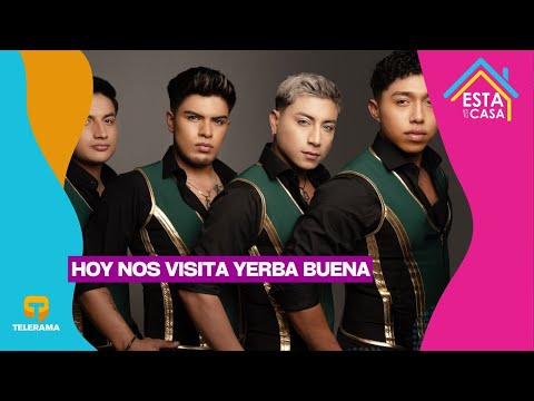 Hoy nos visita Yerba buena