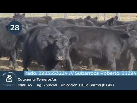 Lote M Y H - De la Garma Bs As