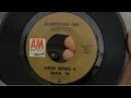 Scarborough Fair - Sergio Mendes & '66 