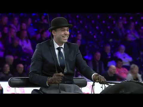 HK 2026 – Horses2fly KFPS sportcompetition showdriving two-in-hand – German