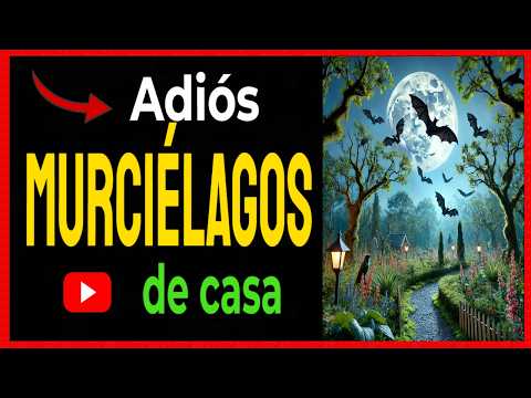 🔴 How to Scare Bats Away from Your Home Without Harming Them 🦇