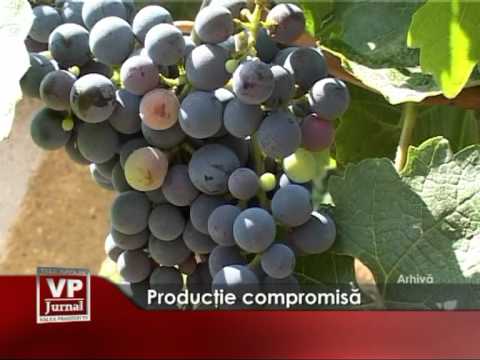 Productie compromisa