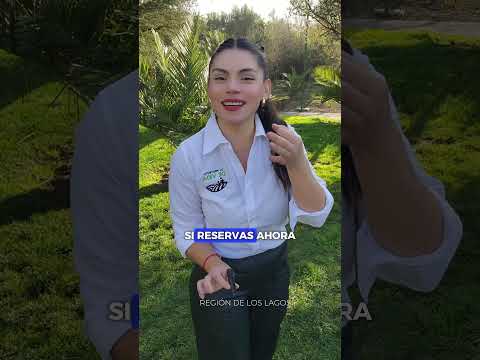 Lanzamiento Etapa 3 | Raíces de Purranque