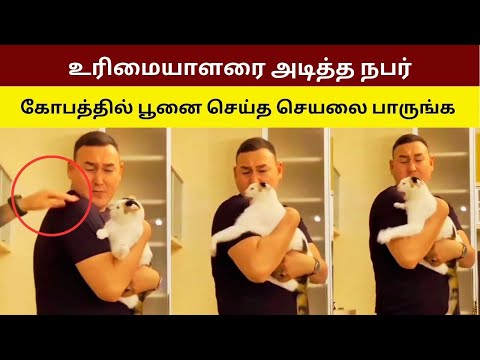 முதலாளியை தொட்டவுடன் கோவப்பட்ட பூனை