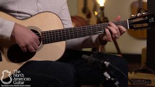 Video thumbnail for Santa Cruz Style 1 demo by Carter Vintage Backstage