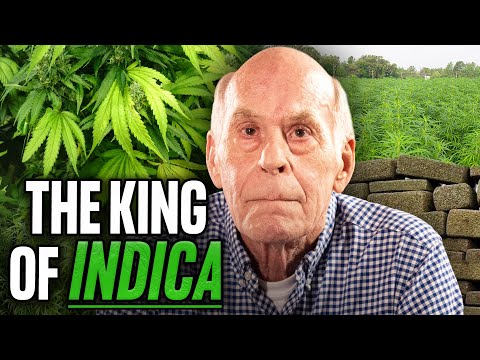 Secrets Of A Professional Pot Smuggler: A Rare Glimpse Into The Underworld Of Drug Trafficking