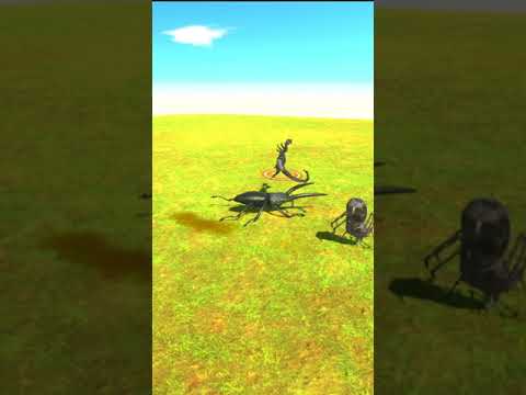 Beetle VS Scorpion and Spider