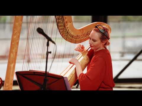 Play Video Youtube Video