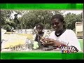 WETA Kids ID Sculpting Boys
