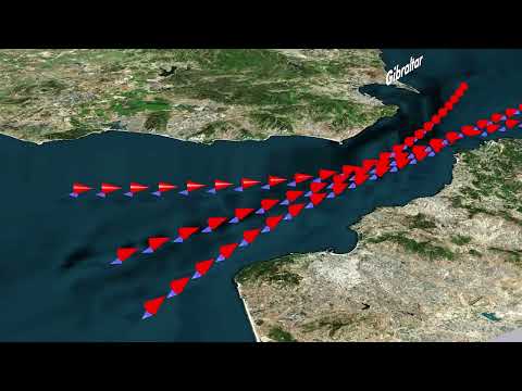Comparison of salinity in the Mediterranean, North Sea and Baltic Sea