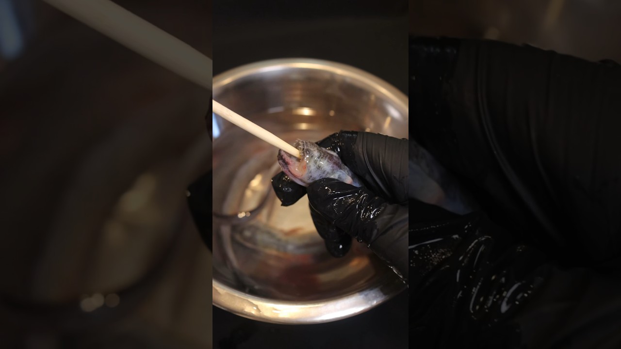 ワラスボの唐揚げ#seafood #海鮮