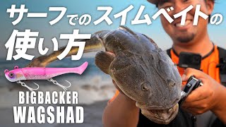 [Surf] No blind spots with various attack methods! ~ Large Flathead capture ~ / SHOGO MURAKAMI Takumi Iga