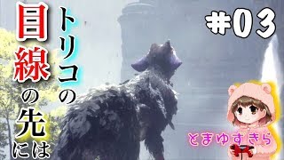 外の世界へ。トリコの目線の先にあったものとは。 【人喰いの大鷲トリコ】