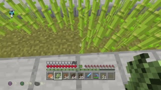 マイクラサバイバル6配信