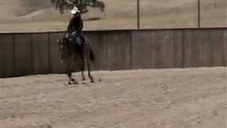 Nics Black Gold -Gowing Canyon Ranch