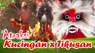 Download lagu atraksi terbaik KUCINGAN PINGGIR PANTAI mp3