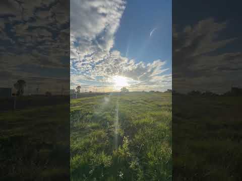 Video de YouTube - Venta terreno fase 1 en Olivos de los Horneros