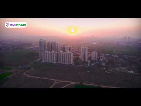 True Broker video thumbnail