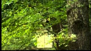 East Haddam residents are 9 days without power